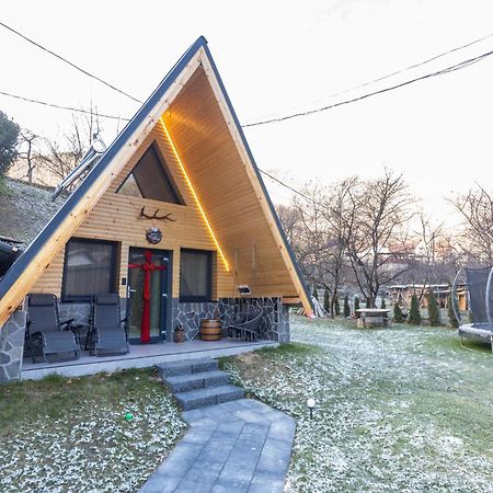 Pensiunea Casa Iulia A-Frame Martinie Buitenkant foto